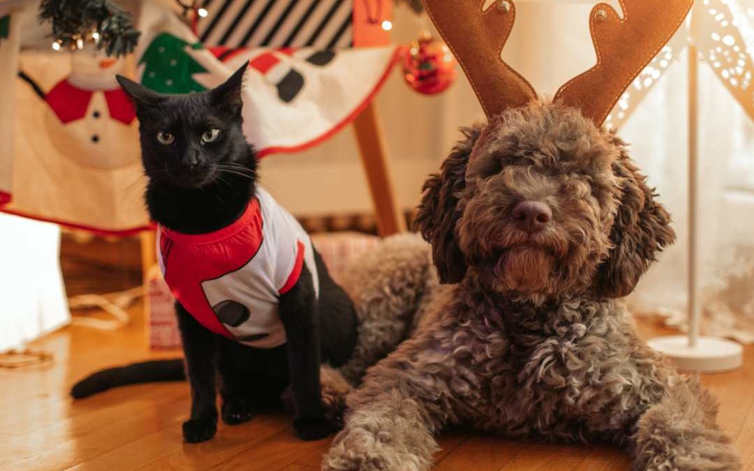 Holiday Pet Safety Tips